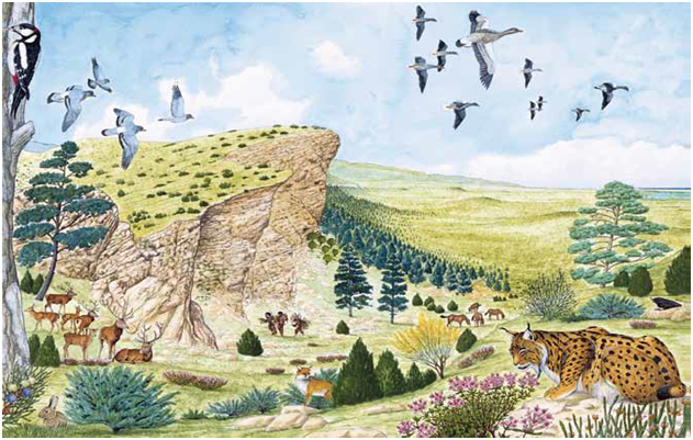 La imagen tiene un atributo ALT vacío; su nombre de archivo es image-34.png